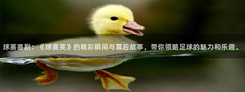 沙巴官网体育